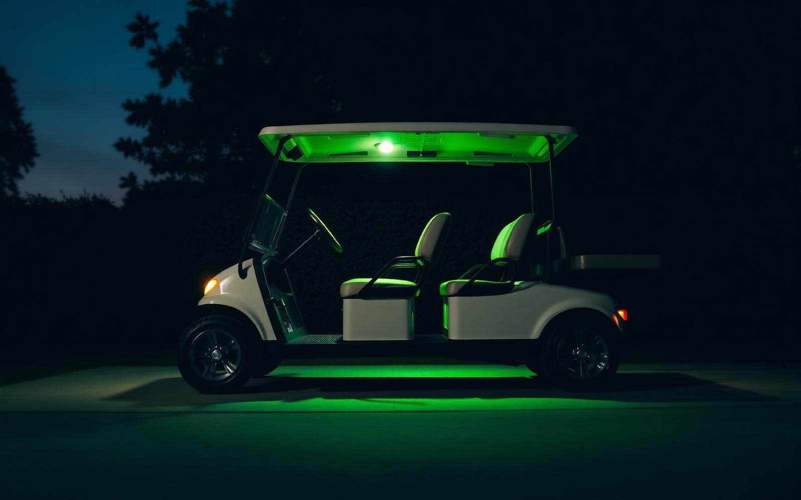 Premium electric gulf cart